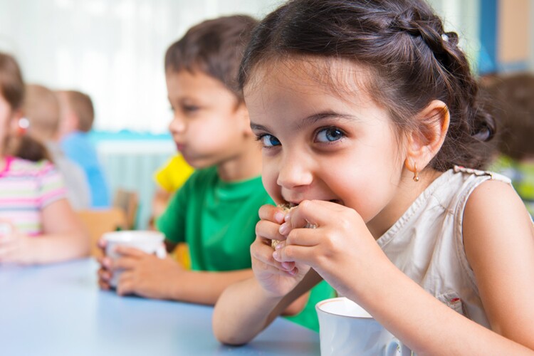 Brain Nutrients: Where & How They Work Together to Support Cognitive Development and Learning