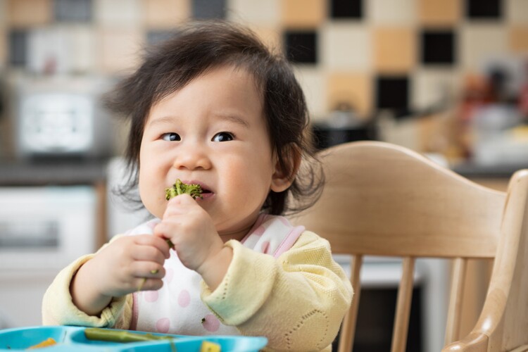 Food During The First Months Of Life Can Have A Lasting Impact On Health