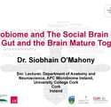 Microbiome and The Social Brain How the Gut and the Brain Mature Together